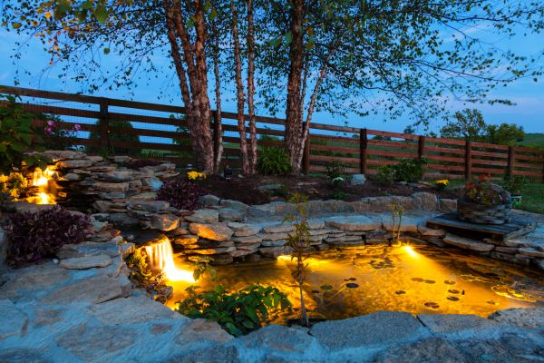 Pond Waterfall Maintenance